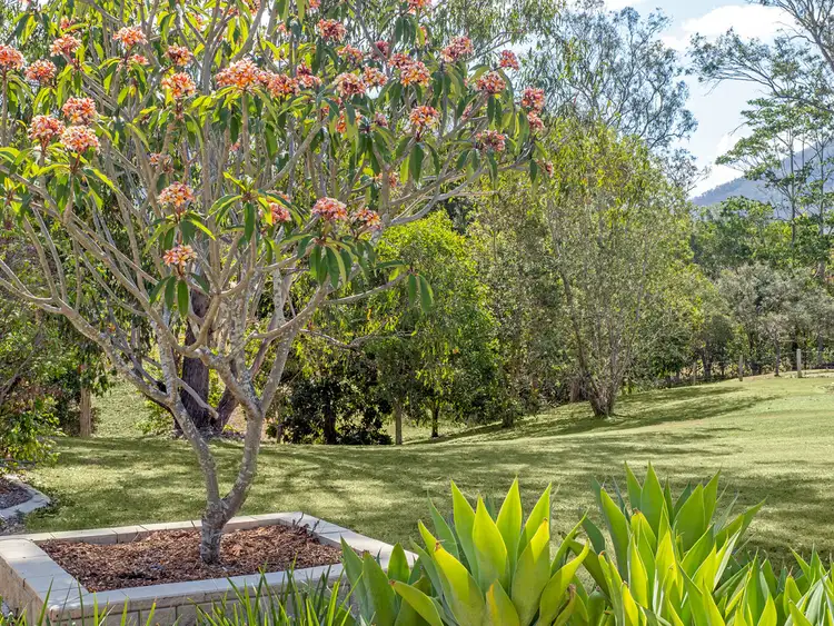 Fifth view of Homely house listing, 8 Norwood Court, Highvale QLD 4520