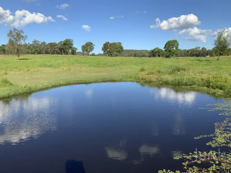 Main view of Homely rural property listing, 1386 Wine Country Drive, Rothbury NSW 2320