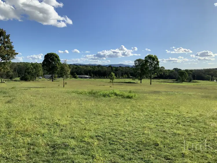 Second view of Homely rural property listing, 1386 Wine Country Drive, Rothbury NSW 2320
