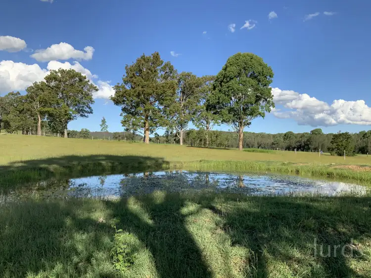 Fourth view of Homely rural property listing, 1386 Wine Country Drive, Rothbury NSW 2320