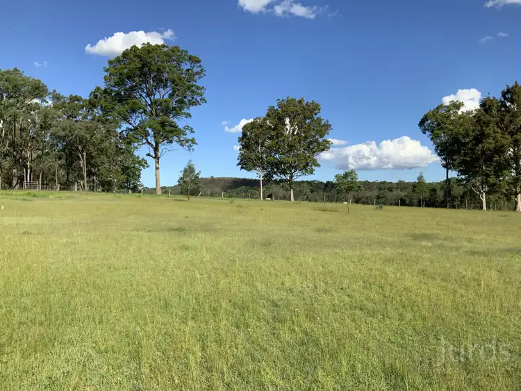 Fifth view of Homely rural property listing, 1386 Wine Country Drive, Rothbury NSW 2320