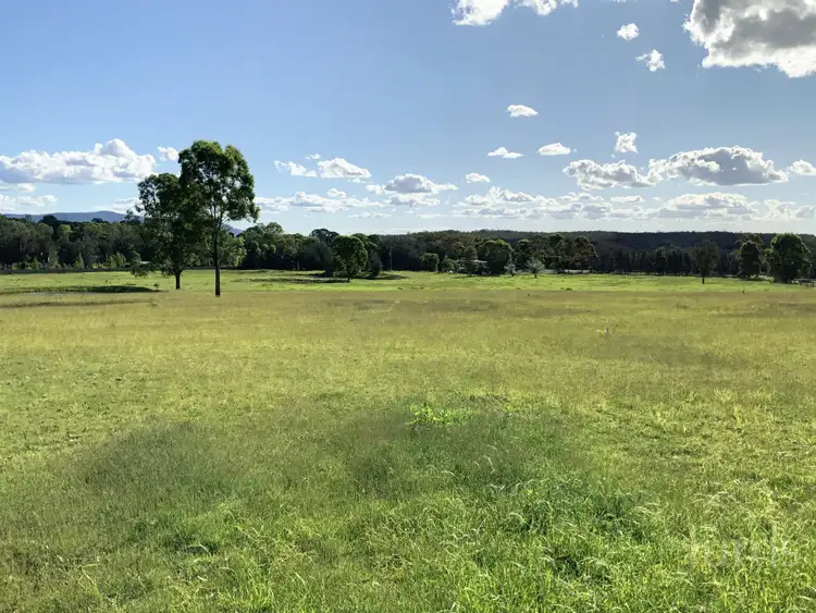 Sixth view of Homely rural property listing, 1386 Wine Country Drive, Rothbury NSW 2320