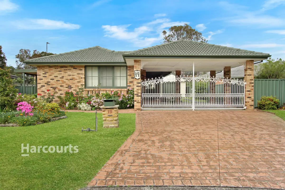 Main view of Homely house listing, 19 Regal Place, Brownsville NSW 2530