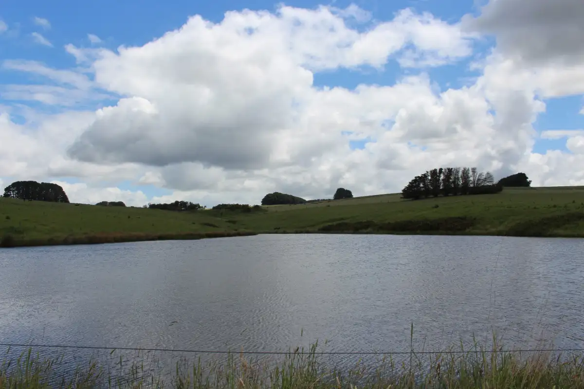 Main view of Homely rural property listing, 283 Tomahawk Creek Road, Simpson VIC 3266