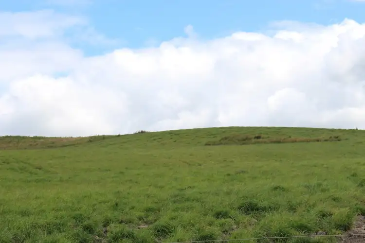 Third view of Homely rural property listing, 283 Tomahawk Creek Road, Simpson VIC 3266