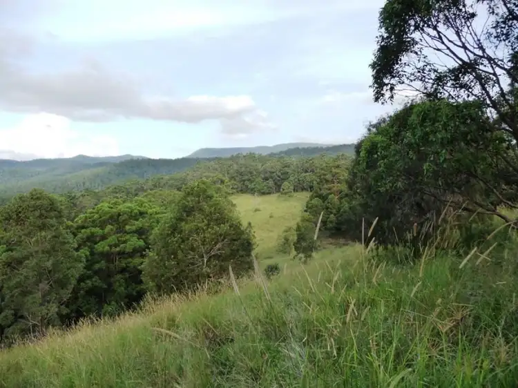 Main view of Homely land listing, 121 Pocket Road, Numinbah Valley QLD 4211