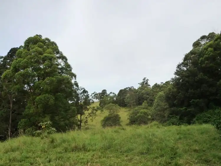 Fifth view of Homely land listing, 121 Pocket Road, Numinbah Valley QLD 4211