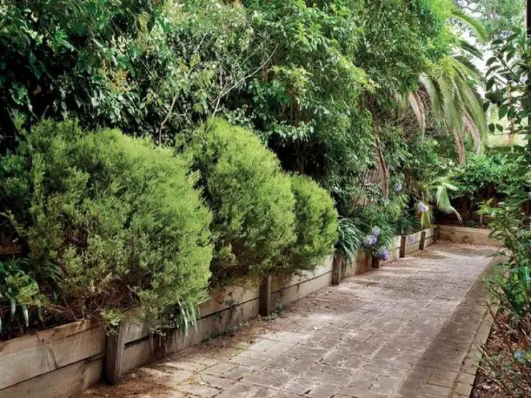 Fifth view of Homely house listing, 2/18 Raynes Street, Balwyn VIC 3103