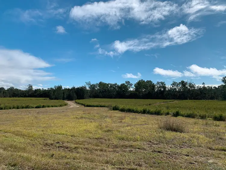 Third view of Homely rural property listing, 145 Wants Lane, Glenugie NSW 2460