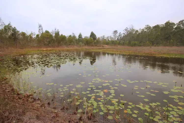 Fifth view of Homely rural property listing, 145 Wants Lane, Glenugie NSW 2460