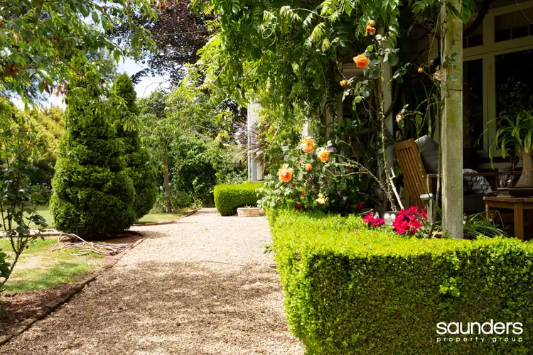 Sixth view of Homely house listing, 119 King Street, Scottsdale TAS 7260