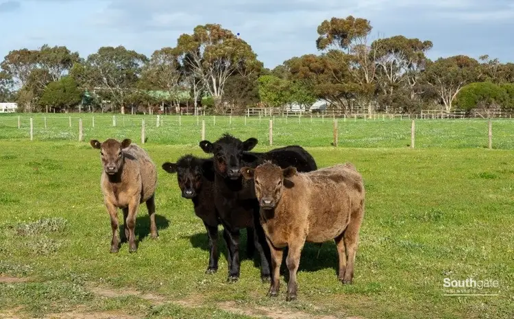 Fourth view of Homely rural property listing, 21 Main Road, Finniss SA 5255