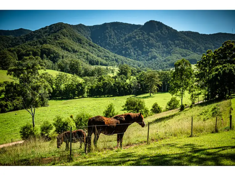 Third view of Homely rural property listing, 302 Promised Land Road, Bellingen NSW 2454
