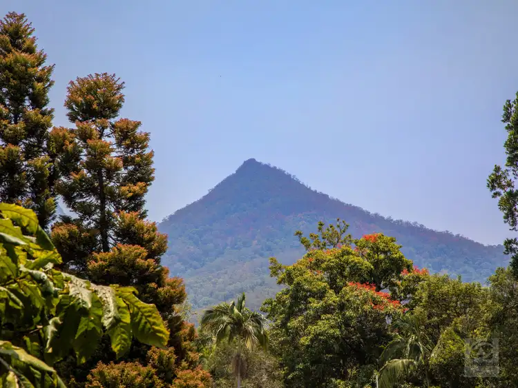 Fifth view of Homely house listing, 3 Rowlands Creek Road, Uki NSW 2484