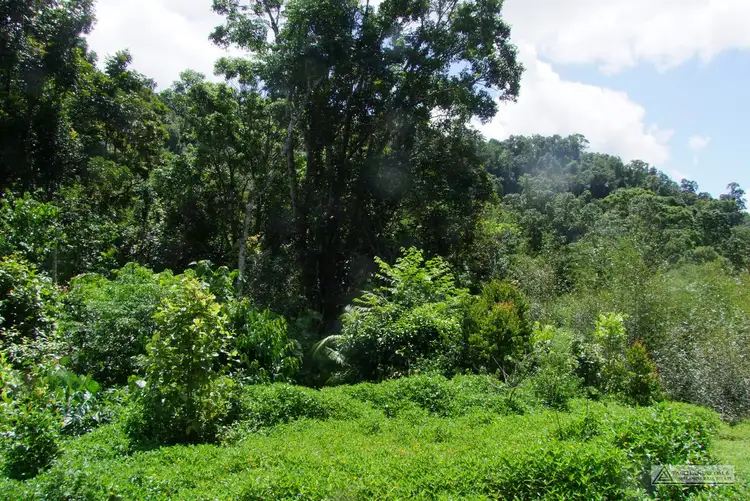 Sixth view of Homely rural property listing, Address available on request