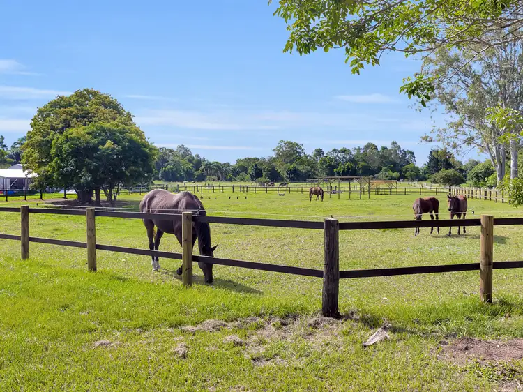 Main view of Homely rural property listing, 12 Gunsynd Drive, Mudgeeraba QLD 4213