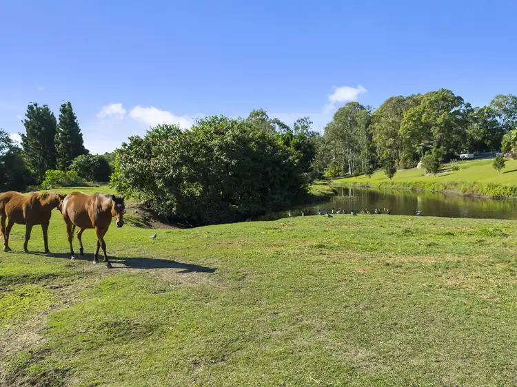 Second view of Homely rural property listing, 12 Gunsynd Drive, Mudgeeraba QLD 4213