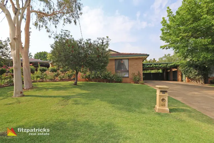 48 Alexander Street, Ashmont NSW 2650