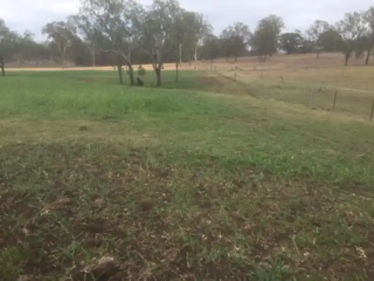 Fifth view of Homely rural property listing, 56 O'Reillys Weir Road, Lowood QLD 4311