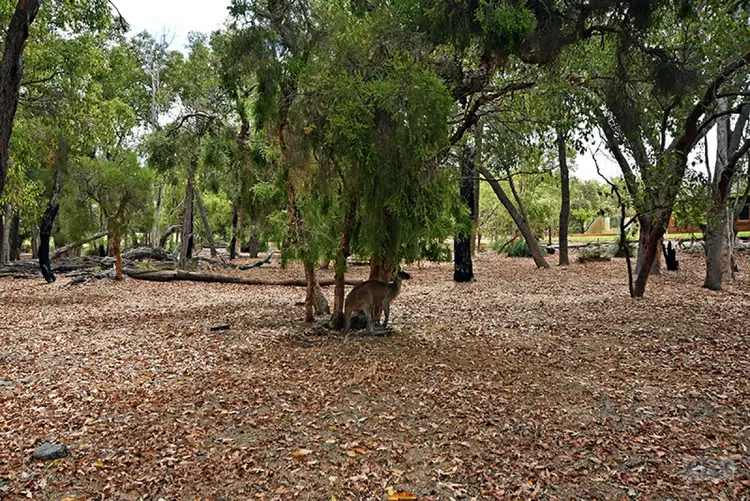 Fourth view of Homely house listing, 61 Chardonnay Drive, The Vines WA 6069