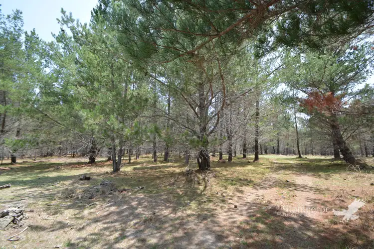 Sixth view of Homely rural property listing, LOT 263 Panoramic Drive, Sugarloaf QLD 4380