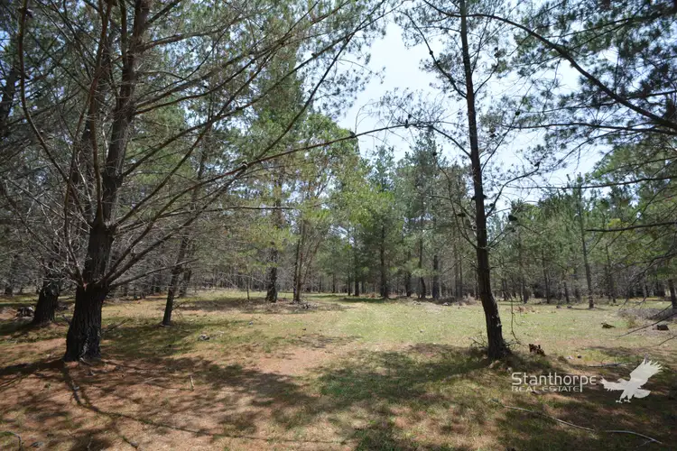 Seventh view of Homely rural property listing, LOT 263 Panoramic Drive, Sugarloaf QLD 4380
