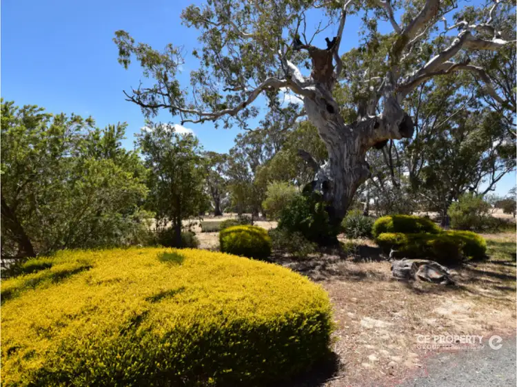 Second view of Homely house listing, 3166 Eden Valley Road, Mount Pleasant SA 5235