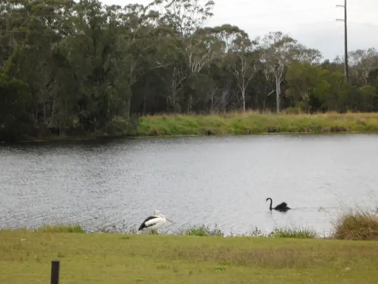 Third view of Homely house listing, 25 Lacewing Drive, Sippy Downs QLD 4556