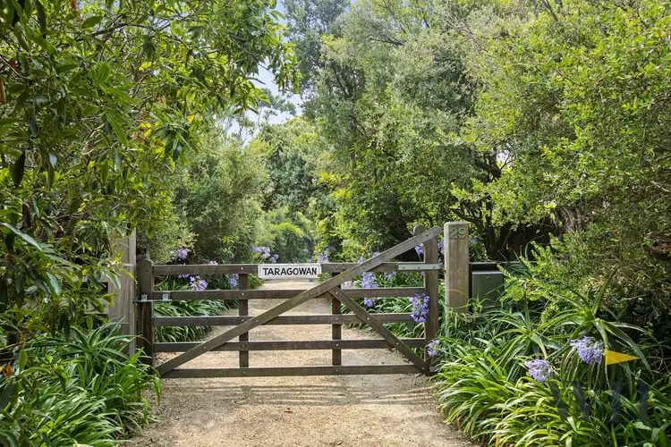 Second view of Homely house listing, 29 Osborne Drive, Mount Martha VIC 3934
