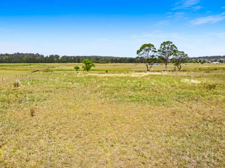 Second view of Homely rural property listing, 42 Wine Country Drive, Nulkaba NSW 2325