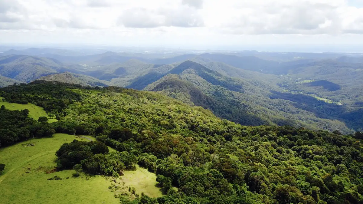 Main view of Homely land listing, 2980 Springbrook Road, Springbrook QLD 4213