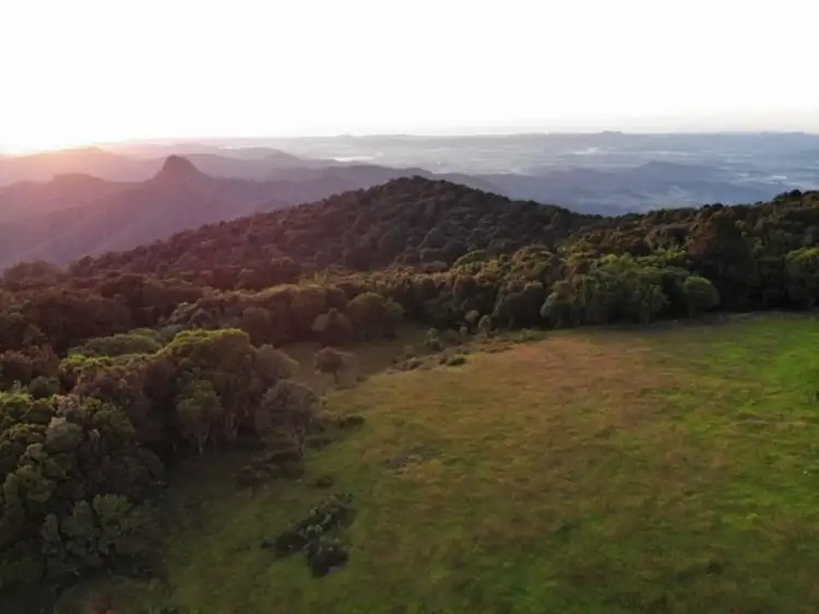 Fifth view of Homely land listing, 2980 Springbrook Road, Springbrook QLD 4213