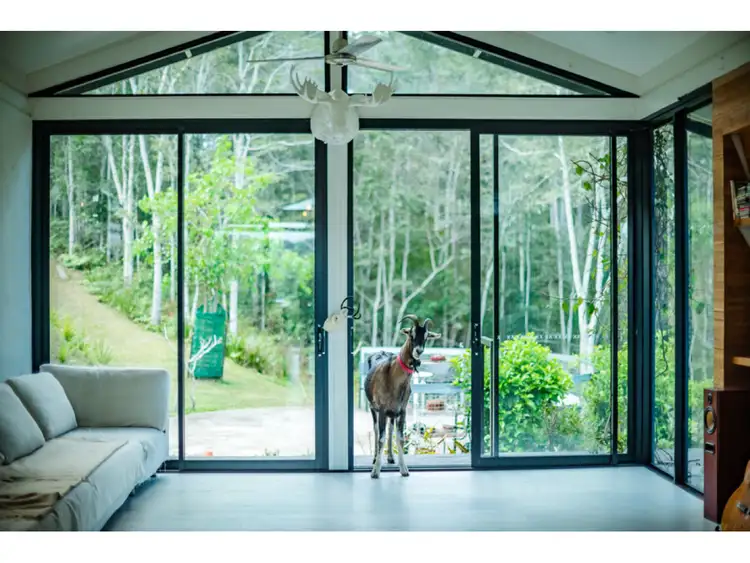 Seventh view of Homely rural property listing, 190 Gleniffer Road, Bellingen NSW 2454