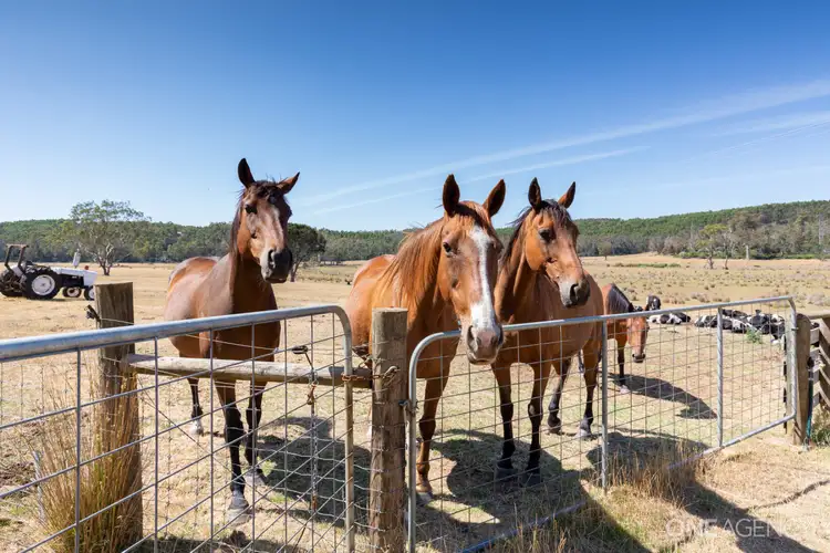 Third view of Homely rural property listing, 420 Porters Bridge Road, Exton TAS 7303