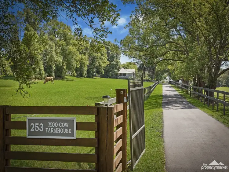 Second view of Homely rural property listing, 253 Yarramalong Road, Wyong Creek NSW 2259