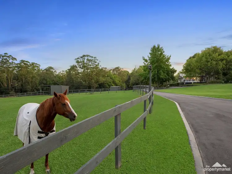 Third view of Homely rural property listing, 253 Yarramalong Road, Wyong Creek NSW 2259