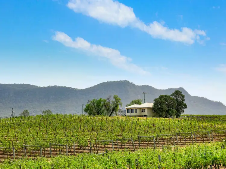 Sixth view of Homely rural property listing, 119 &amp; 139 Mistletoe Lane, Pokolbin NSW 2320