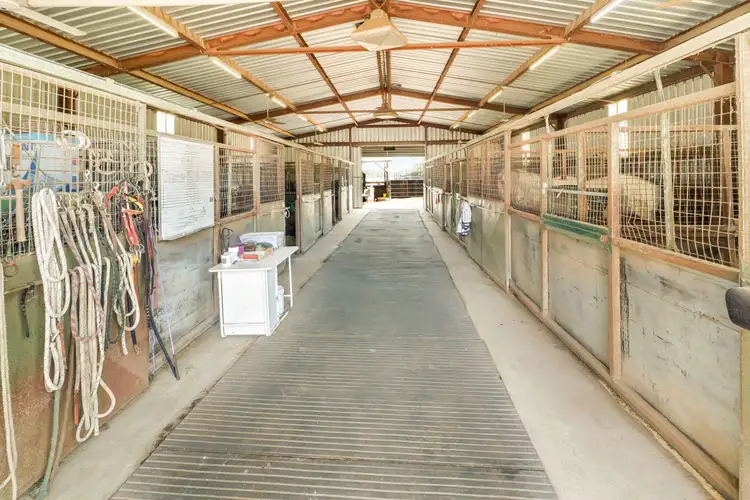 Main view of Homely rural property listing, 501 Snow Road, Laceby VIC 3678