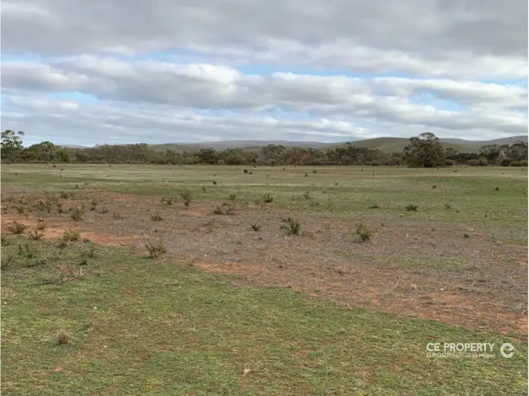 Main view of Homely rural property listing, LOT 24,23,26,39 & 42 Third Street, Towitta SA 5353