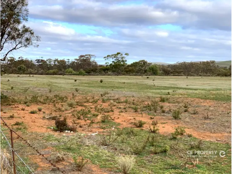 Second view of Homely rural property listing, LOT 24,23,26,39 & 42 Third Street, Towitta SA 5353