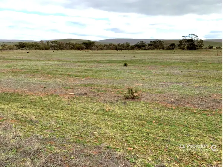 Third view of Homely rural property listing, LOT 24,23,26,39 & 42 Third Street, Towitta SA 5353