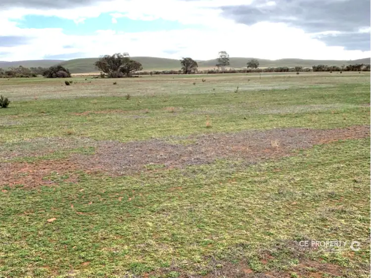 Fourth view of Homely rural property listing, LOT 24,23,26,39 & 42 Third Street, Towitta SA 5353