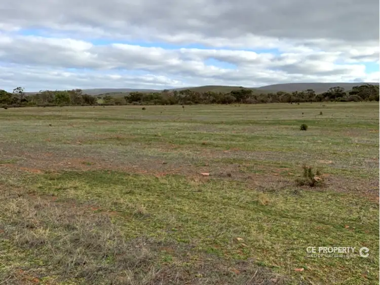 Fifth view of Homely rural property listing, LOT 24,23,26,39 & 42 Third Street, Towitta SA 5353