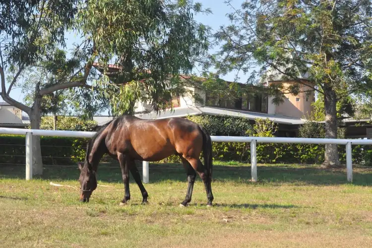 Fourth view of Homely rural property listing, 63 McMullen Road, Brookfield QLD 4069