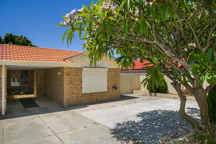 95B Torquata Drive, Mirrabooka WA 6061