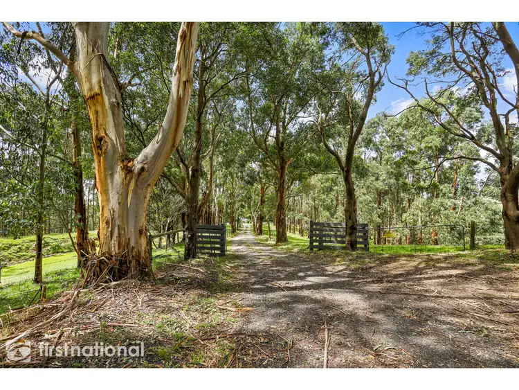 Third view of Homely rural property listing, 700 Ferndale Road, Ferndale VIC 3821