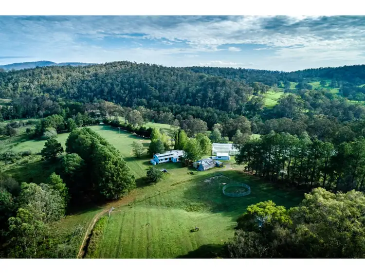 Main view of Homely rural property listing, 1971 Tyringham Road, Dorrigo NSW 2453