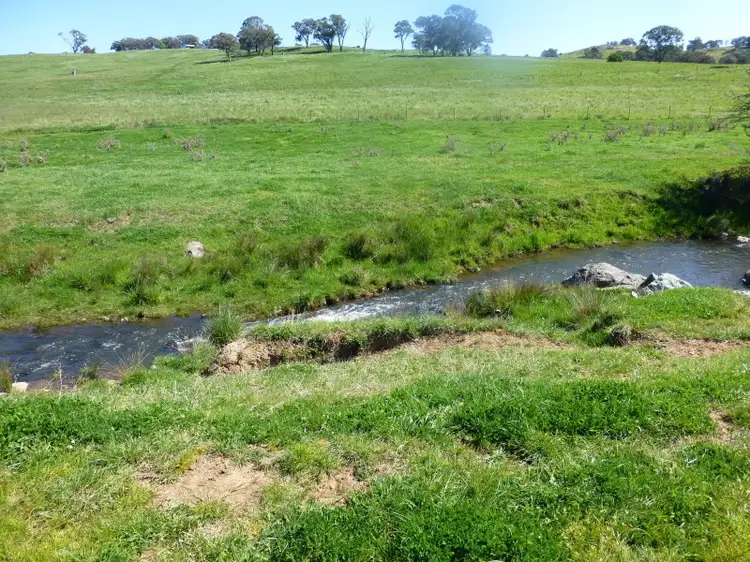 Third view of Homely rural property listing, 523 Griffin Road, Orange NSW 2800