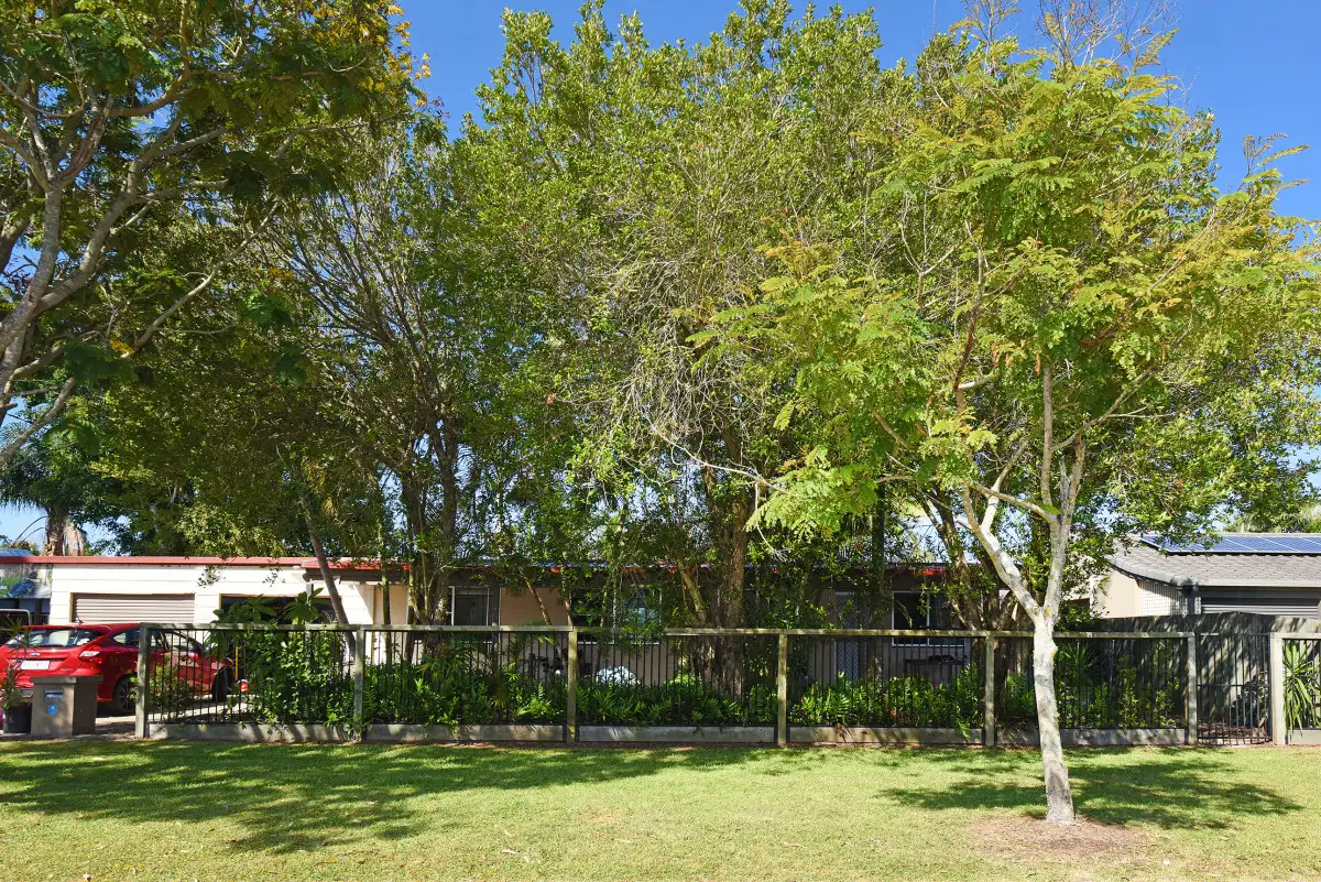 Main view of Homely house listing, 17 Lows Drive, Pacific Paradise QLD 4564