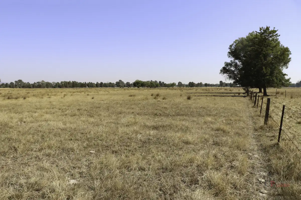 Main view of Homely rural property listing, LOT 1, 5 Pyles Lane, Wangaratta VIC 3677